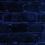 alphaschool_'s profile picture. 