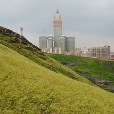 hayat1639313's profile picture. 