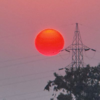 skaul4's profile picture. Kashmiri Brahmin