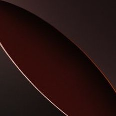 PaulCraigBJJ's profile picture. 