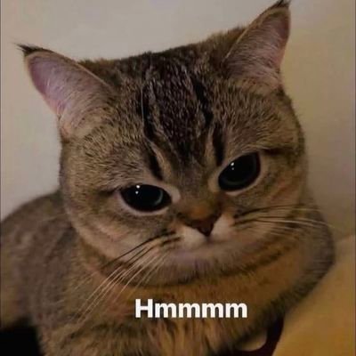 Df66679's profile picture. Curtir😈