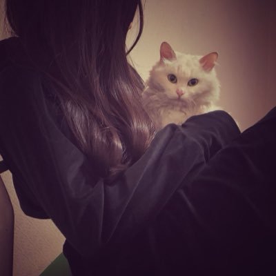 samar_y3's profile picture. 