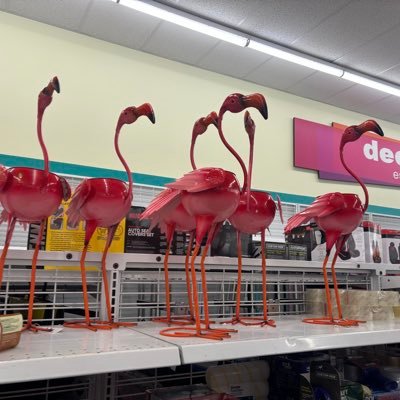 SpaghettiSauce5's profile picture. 