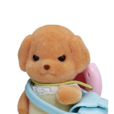 lolynotloly's profile picture. 