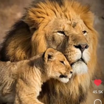 VarsaniEkta's profile picture. The sole meaning of life is to serve humanity🪷