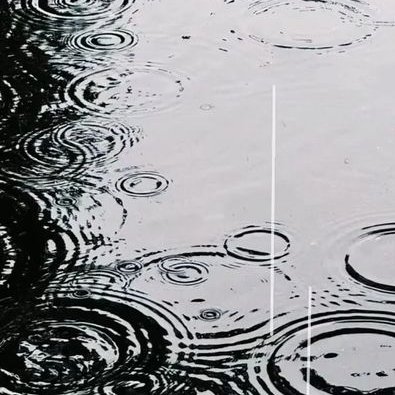 j19085614's profile picture. 24