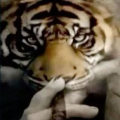 734dh9u3r's profile picture. 