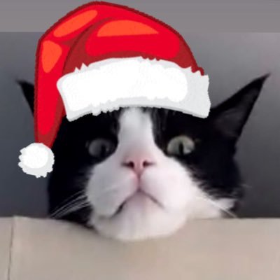 otti33z's profile picture. Apple  | Game 🎮 | GG 💗 | INTJ 🥴 l otti33z@mstdn.social | https://t.co/GIHDe2PJmc