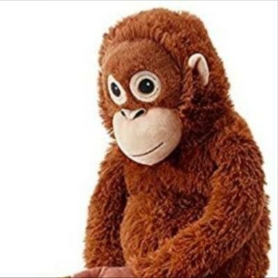 kisnowramanra's profile picture. 大人スノ担☃️✨
日々推しや年齢関係なく、平和に楽しくスノを応援してます😊
(スノ担さんではない方、勧誘、転売や転載される方は🆖)
#ひとりじゃないって最強だ
#SnowMan

❤️🤍