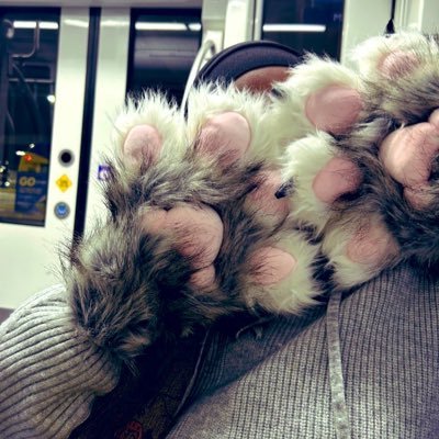 imjafamilyguy's profile picture. 