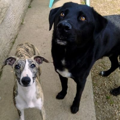 MattForgeron's profile picture. Eaglebzh