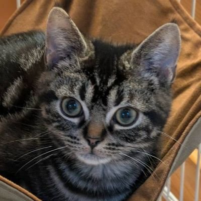 sumigura_m's profile picture. 居宅介護支援事業所勤務（ケアマネジャー）／参政党一般党員🍊日本の危機的状況に際し、全力で立ち向かってくれている参政党を支持／無言フォロー失礼いたします🙇DMはお受けしていません