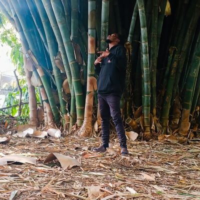 hassan_koe13675's profile picture. #GGMU🇰🇪 Proud Kenyan,Introvert
#RUTOMUSTGO💯 Tech enthusiast