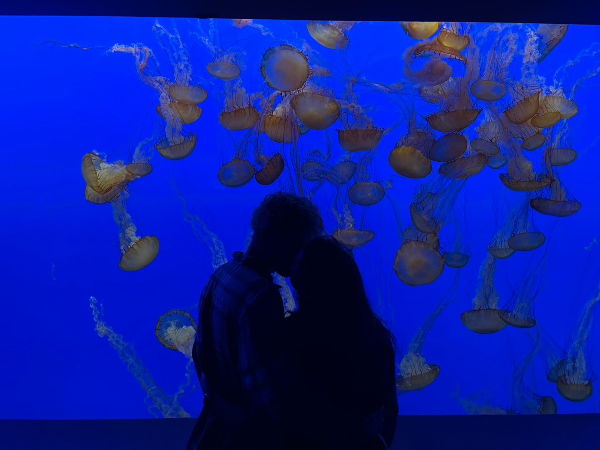 CMoney2103's profile picture. 