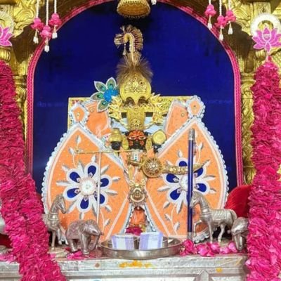 PaliwalShy452's profile picture. 