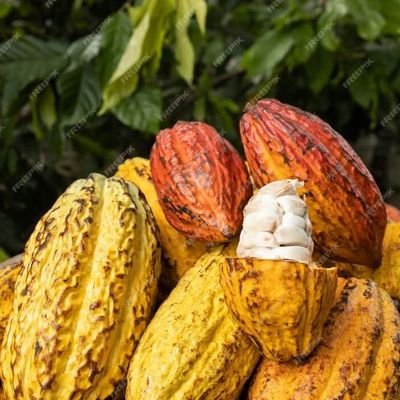 Kamandien's profile picture. ✌L’agriculture est une discipline qui a façonné notre civilisation depuis des millénaires.