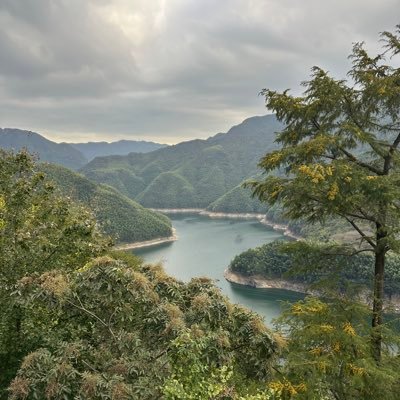 lastdancewb's profile picture. 