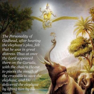 _Skr_003's profile picture. அனுபவமே சிறந்த ஆசான்