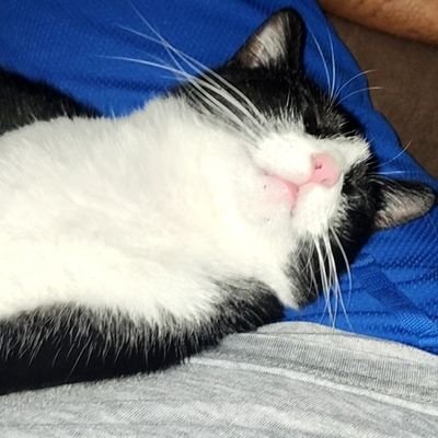 AmarilloStu1911's profile picture. 