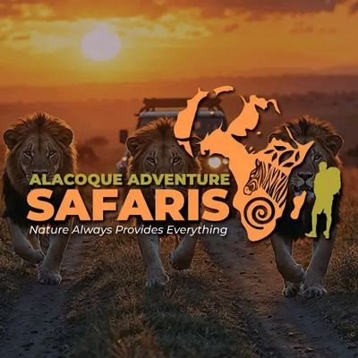 Alacoquesafaris's profile picture. We take you to deepest depths of the African Wildlife.
Immerse yourself to extremely exciting safaris where adventure becomes part of your soul.
