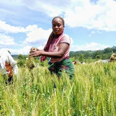 KAHINDO_Lajoie's profile picture. 