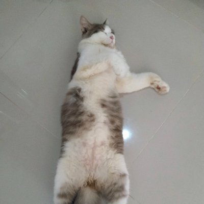 Widya_0996's profile picture. Pejuang Kuis .. Semangat 💪💪💪