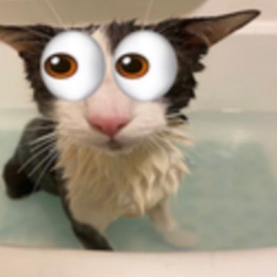 lagoonman99's profile picture. he/they 👅 https://t.co/f3MJHIOUvp fuck my stupid baka life 💔💔🥀🥀