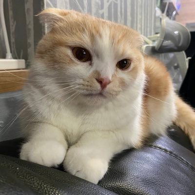 fairrz95's profile picture. #Avocean #จิมมี่ซี #งั่มงั่ม #JIMMYSEA #6CODE #แม็กกี้บาส #Maxky_rp #บาสเด็กอ้วนที่แท้จริง