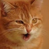 pixel6785415165's profile picture. Training AI