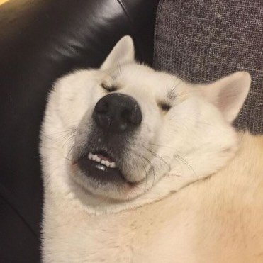 K_RKIVE7's profile picture. RP ( ROLE PLAYER)

I AM BTS ARMY ( MALE ÀRMY) I 💜 YOU