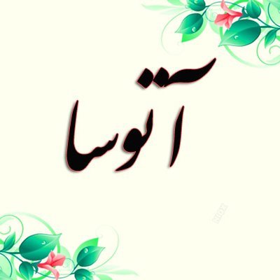 atusaatusa11's profile picture. عاشق شمال / تیم فقط ملوان بندر انزلی