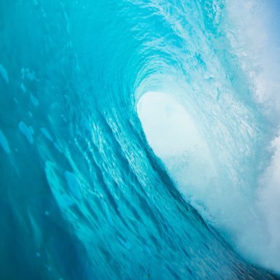 rghdfhyrjmdxrcb's profile picture. 