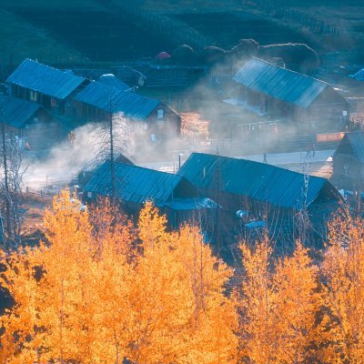 tylernutty's profile picture. ❤️，必回；fo，必回。互👍🏻。冲20000粉，在线秒回。若侵犯版权，请联系本人及时删除，谢谢