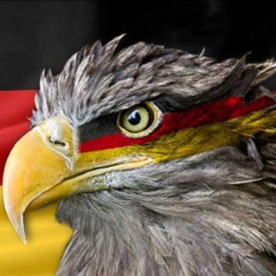 RammRudolf's profile picture. Freidenker Heimatliebe für Volk & Vaterland AFD Gegen die Diktatur der Altparteien