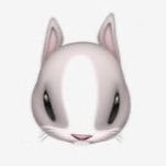 pyopyochuchu's profile picture. 똥글 토끼 키우기