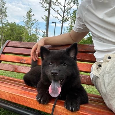 Gank_1992's profile picture. 自由快乐。