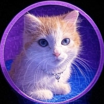 wrhvcramr's profile picture. 全国の環境・条件に詳しい“働き方相談窓口”あんちゃんです 「今の環境を変えたい」「もう一度頑張りたい」 そんな20〜30代の方を中心に、40代後半の方までサポートしています。 ご希望に合わせた環境のご提案・面談後のフォローも丁寧に対応致します