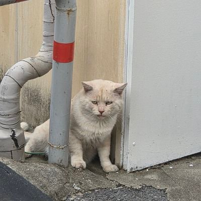 WofnsW53228's profile picture. Shitcoin trader