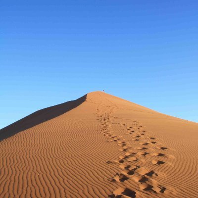 Next_Gen_Work's profile picture. Your remote dream job, one scroll away.
Global roles • Work-from-anywhere • Posted daily 🌍
Support me: https://t.co/Rx3ZiDiRMw