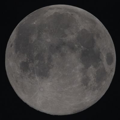 OJv30dDsWv28720's profile picture. 