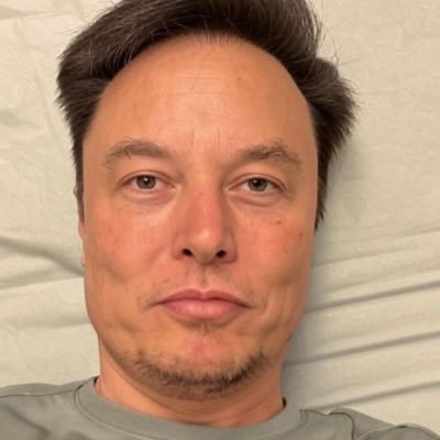 gretman646's profile picture. CEO of X (formerly Twitter) •Musk acquired Twitter in 2022 and rebranded it as X in 2023. •Founder and CEO of X Corp. •X Corp. is the parent company