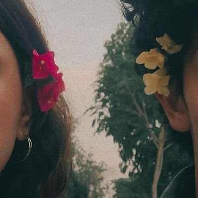 PardisM2571's profile picture. 