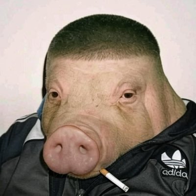 ArdaaCicekk's profile picture. 