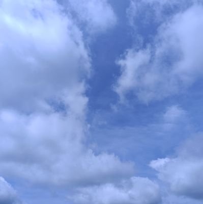 _Shaan_SV's profile picture. .