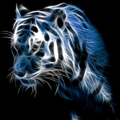 Geronimoaja9's profile picture. 