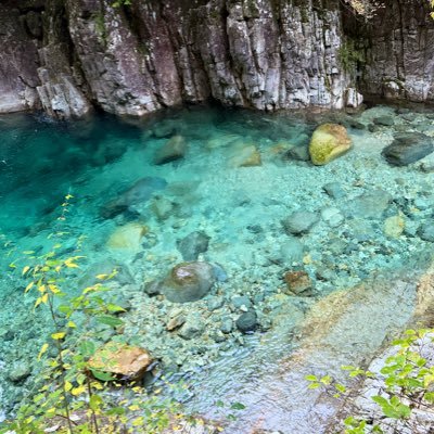 hosh1gak1_25's profile picture. 飽き性な人の独り言 📘 💎 💻