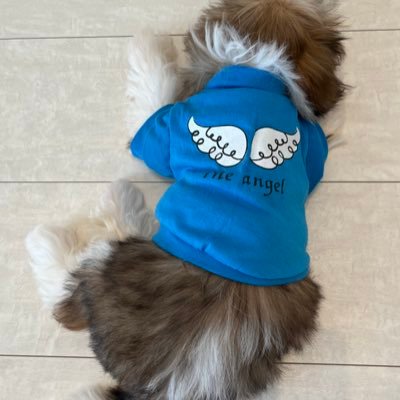 LiLaNo888's profile picture. 豊かで美しい日本🗾 無宗教。国民ファースト⭐︎ 高市総理を応援 ●推⇨片山さつき大臣／小野田紀美大臣／高橋洋一氏／故: 石原慎太郎氏 中川昭一氏  ●NG⇨親中韓朝 帰化議員✖︎ 偽保守✖︎ 反日勢力✖︎ 日弁連✖︎ oldメディア✖︎ 不正選挙✖︎ ◼️移民受入廃止！侵略阻止！スパイ撃退！議員通名使用廃止！🕊️