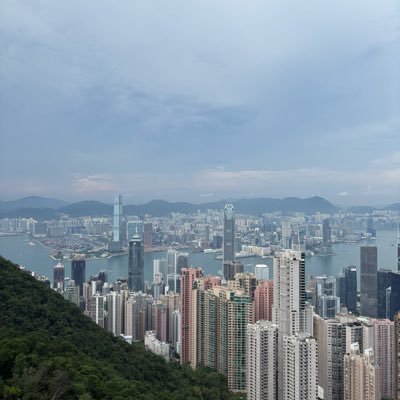 flipfmeme's profile picture. Builder of LunaPay the first platform to sell links online for Solana