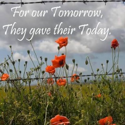 FlashFox3's profile picture. 