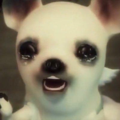 jyujyu_chingu's profile picture. 